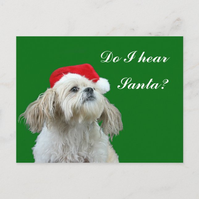 Postal Festiva Shih Tzu está atento Santa (Anverso)