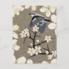 Postal Festiva Shrike