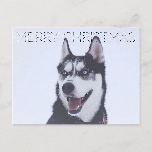 Postal Festiva Siberian Husky-Christmas (Anverso)