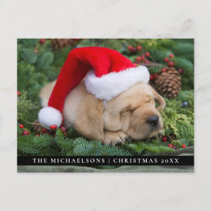 Postal Festiva Sleepe Labrador Retriever Puppy Con Santa Hat