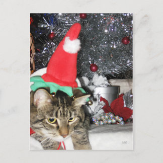 Postal Festiva Slim Kitty Elf y el árbol de insel