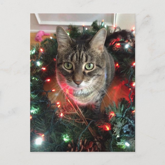 Postal Festiva Slim Kitty Holiday Wreath (Anverso)