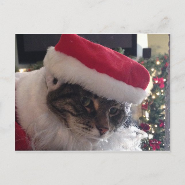 Postal Festiva Slim Kitty Santa Card (Anverso)