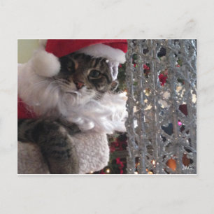 Postal Festiva Slim Kitty Santa y el árbol Purpurina