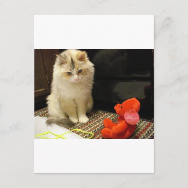 Postal Festiva ¡Snuggler meows "día de San Valentín feliz! " (Anverso)