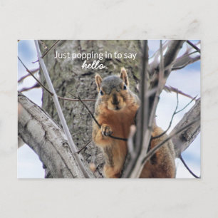 Postal Festiva Sólo entrando para saludar