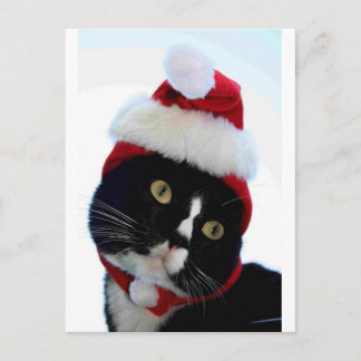 Postal Festiva Sombrero de gato negro y blanco con aspecto de Som