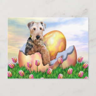Postal Festiva Sorpresa de Airedale Terrier Pascua