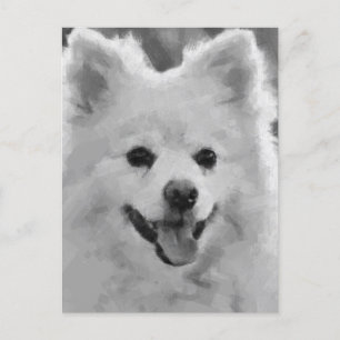 Postal Festiva Spitz japonés