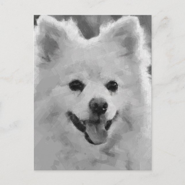 Postal Festiva Spitz japonés (Anverso)