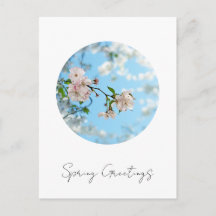 Spring Is in the Air - 