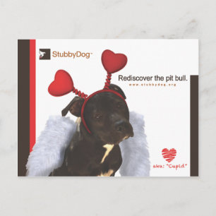 Postal Festiva Stubby Dog Valentine #2