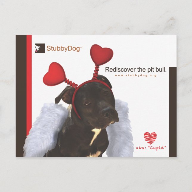 Postal Festiva Stubby Dog Valentine #2 (Anverso)