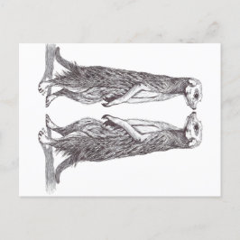 POSTAL FESTIVA SURICATA LOVE. MEERKAT LOVE.