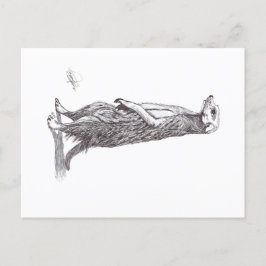 POSTAL FESTIVA SURICATA. MEERKAT