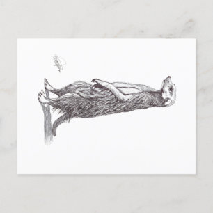 POSTAL FESTIVA SURICATA. MEERKAT