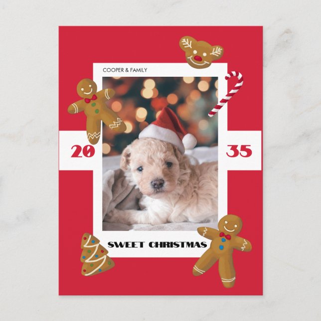 Postal Festiva Sweet Christmas custom photo cute pet (Anverso)