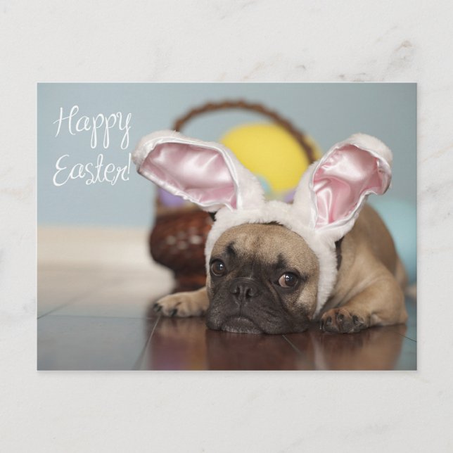 Postal Festiva ¡Tarjeta de pascua del bulldog francés! (Anverso)