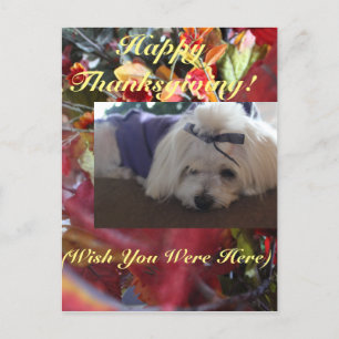 Postal Festiva Temporadas maltesas abandonan el diseño