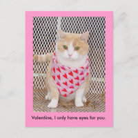 Tenga solamente ojos para usted