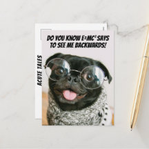 Teoría divertida del animal perro pug chino lindo 