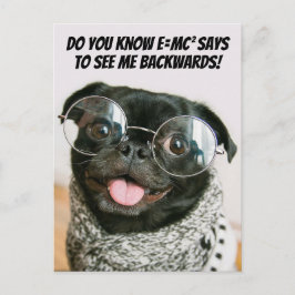 Postal Festiva Teoría divertida del animal perro pug chino lindo 