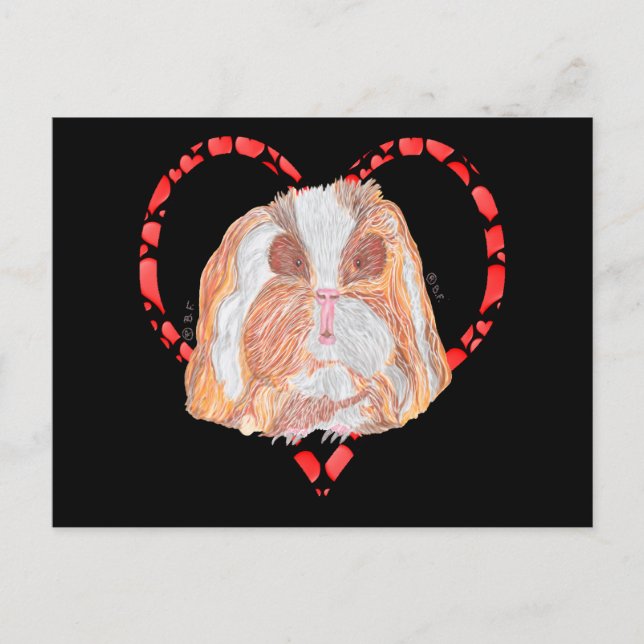 POSTAL FESTIVA TEXEL GUINEA PIG HEART (Anverso)