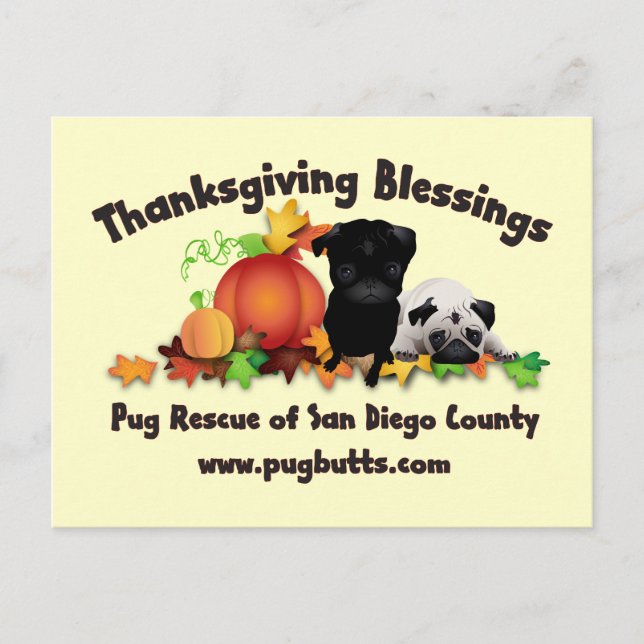 Postal Festiva Thanksgiving Pug Tees and Gifts - 4 styles (Anverso)