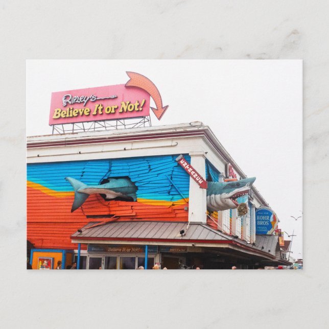 Postal Festiva Tiburón en la ciudad oceánica, Maryland, Estados U (Anverso)