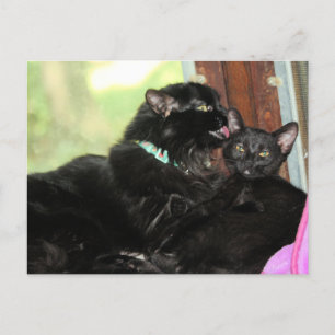 Postal Festiva Tiempo de baño