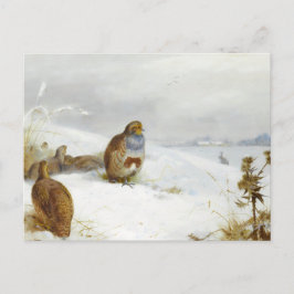 Postal Festiva Tiempos difíciles: perdices y liebre, aves artísti