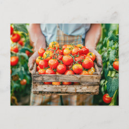Postal Festiva Tomates frescos en manos de granjeros