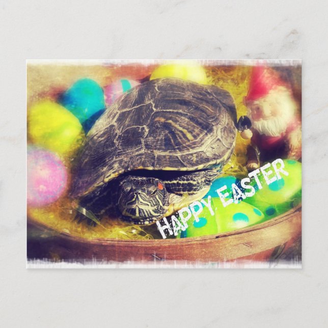 Postal Festiva Tortuga de Pascua (Anverso)