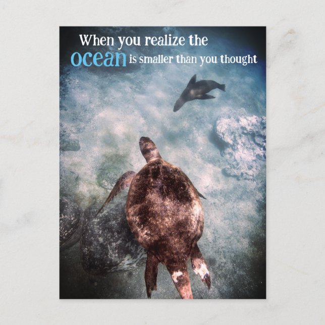 Postal Festiva Tortuga marina y león marino bajo el agua (Anverso)