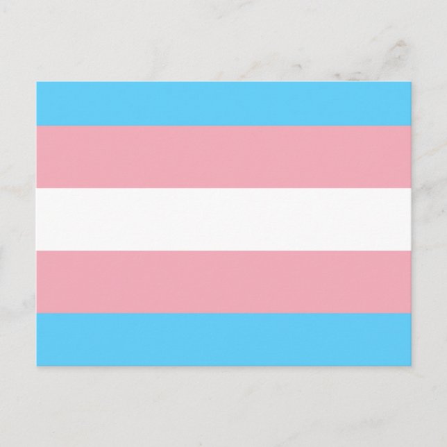 Postal Festiva Transgender Flag (Anverso)
