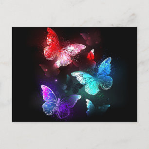 Postal Festiva Tres mariposas brillantes sobre fondo nocturno