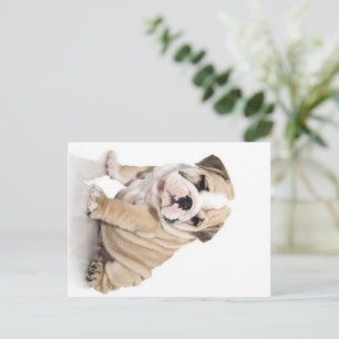 Postal Festiva Triste Bulldog de cachorros