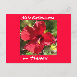 Postal Festiva Tropical Flower Christmas photo card