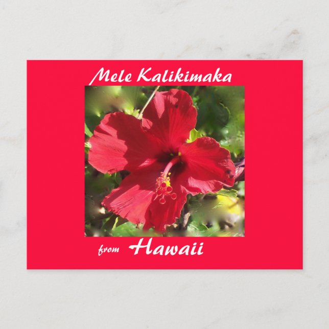 Postal Festiva Tropical Flower Christmas photo card (Anverso)