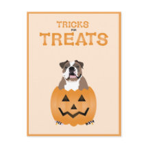 Trucos Para Tratamientos Naranja De Bulldog Inglés