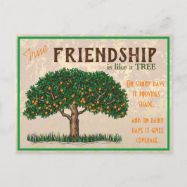 Postal Festiva True Friendship Postcard