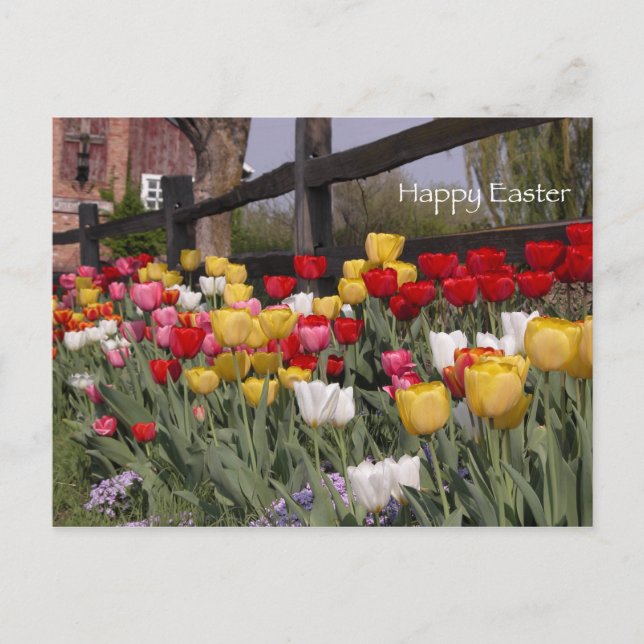 Postal Festiva Tulip Garden Happy Easter (Anverso)