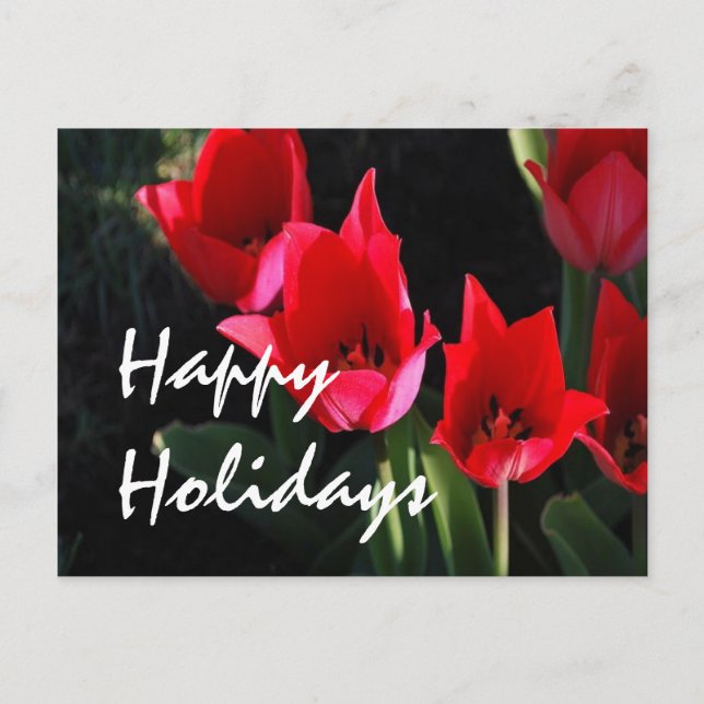 Postal Festiva Tulipanes rojos (Anverso)