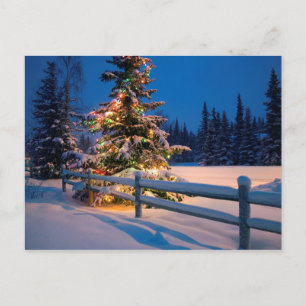 Postal Festiva Un árbol navideño brillantemente iluminado en el