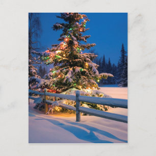 Postal Festiva Un árbol navideño brillantemente iluminado en el a