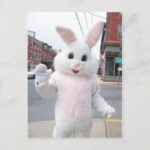 Postal Festiva Un conejito de Pascua con amor animal