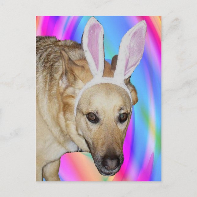 Postal Festiva ¿Un conejo de Pascua? (Anverso)