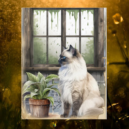 Postal Festiva Un gato acuarela de ojos azules en un día lluvioso