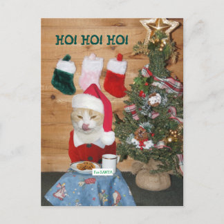 Postal Festiva Un gato gracioso come un refrigerio de Papá Noel
