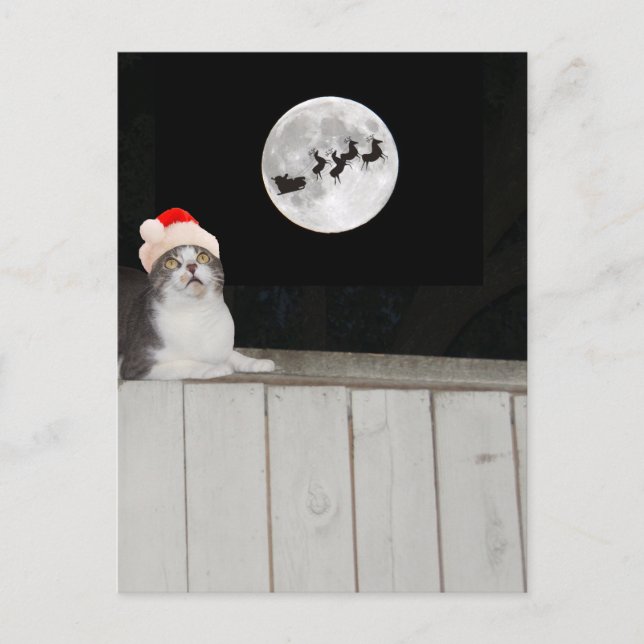 Postal Festiva Un gato gracioso ve a Santa (Anverso)